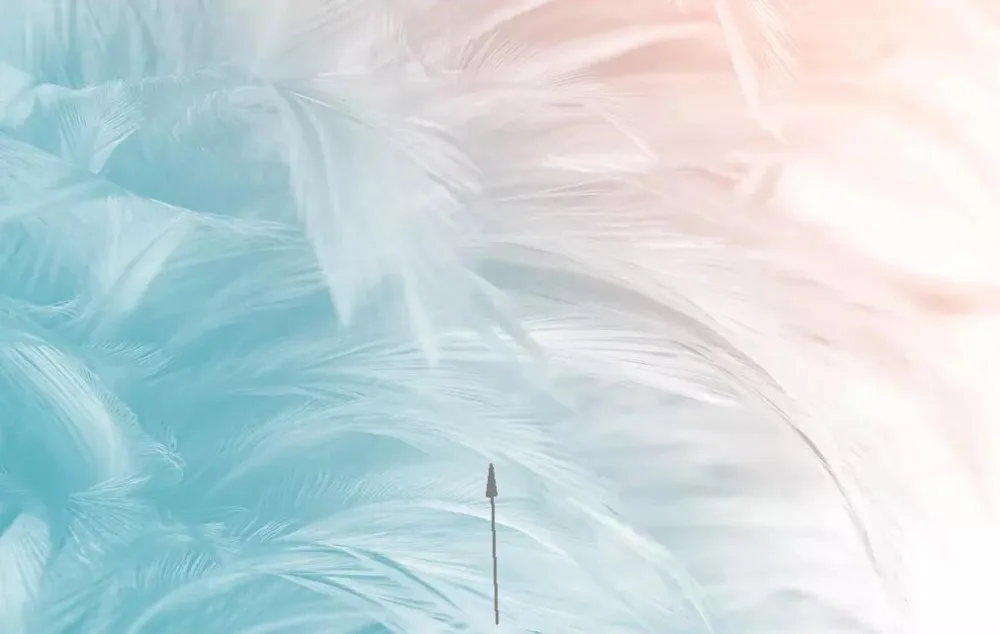 QQ20181202105041