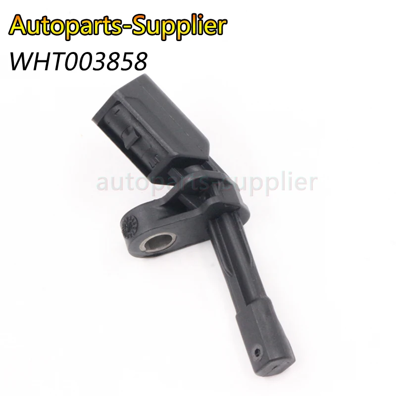 WHT003858 (4)