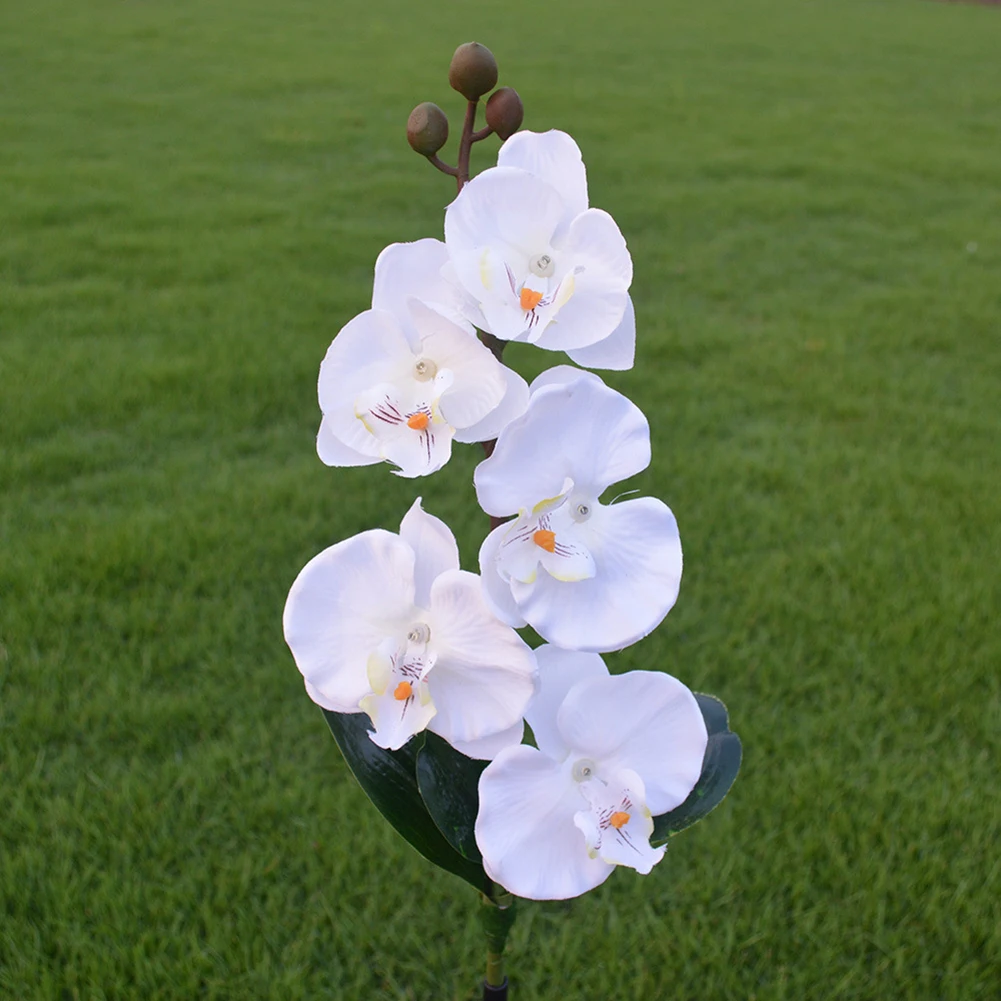 5-Глава Солнечная бабочка орхидеи светло светодиодной реалистичное цветок Открытый сад, декоративный газон ставка лампы для пути газон пейзаж