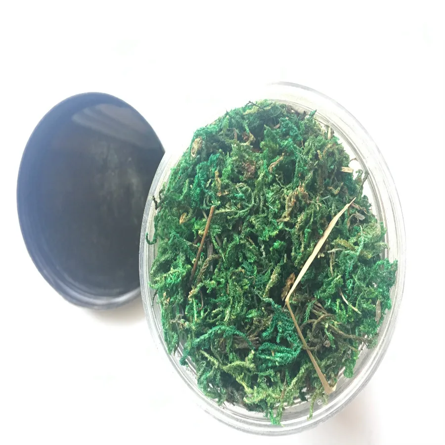 architecture model building kits grass (14)