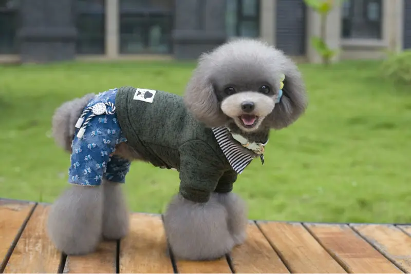 Y117_2016_Winter_Pet_dog_Fleece_sweater_clothes_Lovely_super_Warm_Fleece_4_legs_clothes_for_Puppy_dog_Jumpsuit_Coverall_Costume_Apparel_ (6)