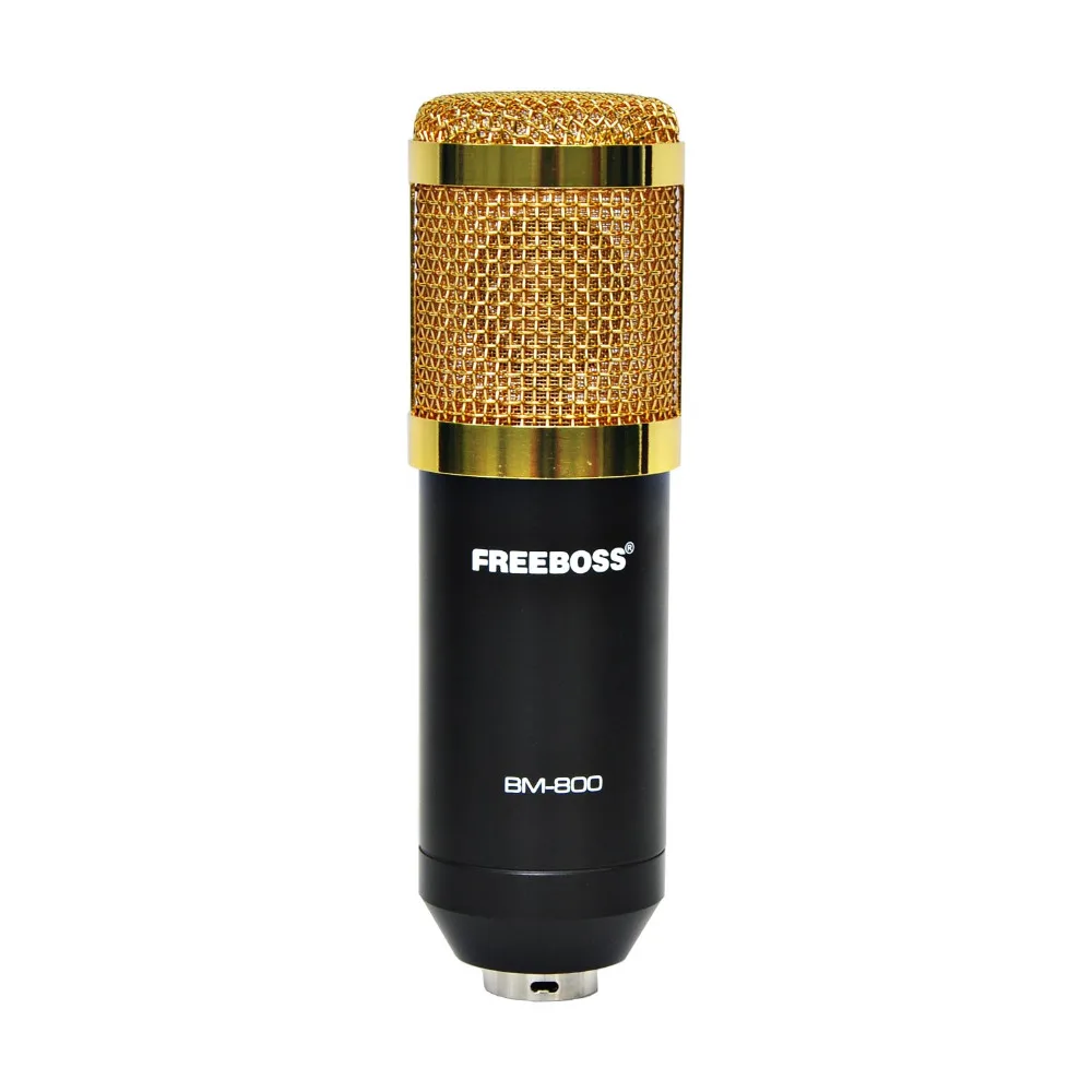 BM-800  01  cable microphone