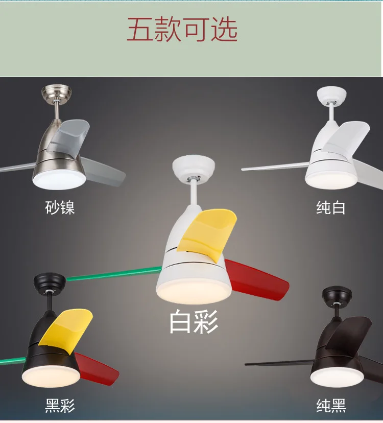详情31