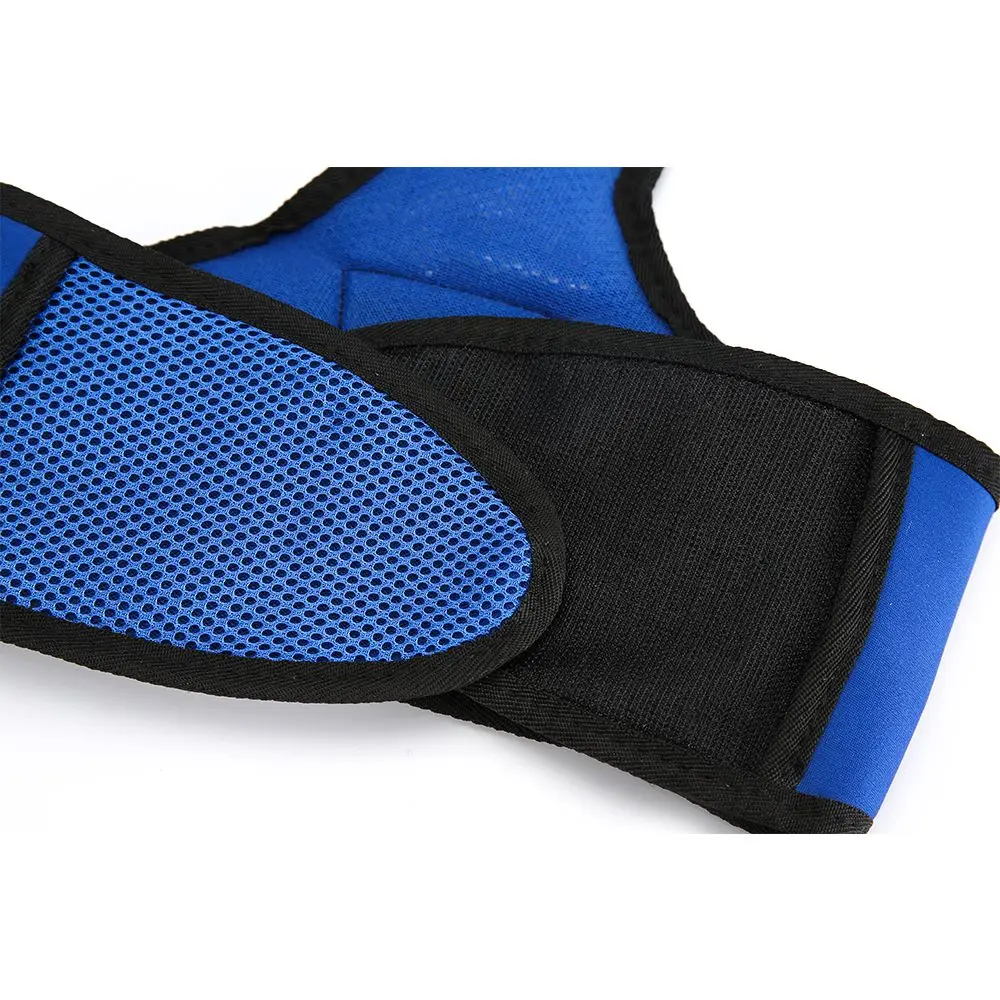 Summer Cooling Pet Dog Vest Clothing For Large Medium Dogs Outfit Adjustable Petstyle Vest Dog Clothes Reusable Product ZA00119976