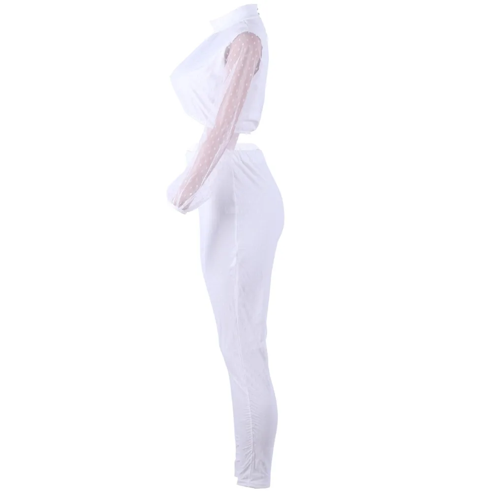 7 -  -  -  -  -  (4) -  - 