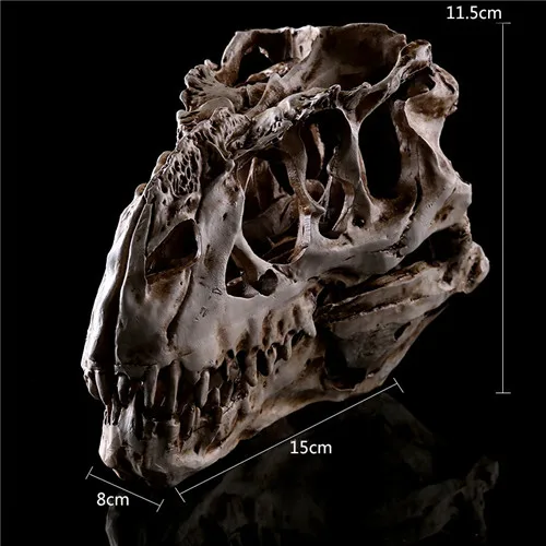 

Resin Crafts Dinosaur Tooth Skull Fossil Teaching Skeleton Model Halloween Home Office Halloween Decoration