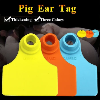 

Ear Tags 20Sets TPU Pig Ear Tags Without the Word Pig Piglet Sow Animal Identification Card Alloy Head Farm Tools