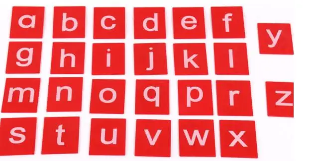 36020190208224547568