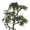 Model Sycamore Tree Railway Street Park Garden Diorama Scene 1:150 N Layout -9cm 3