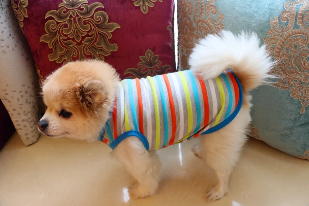 Title 71, Pet Dog Clothes for Dogs Clothing for Small Dog...