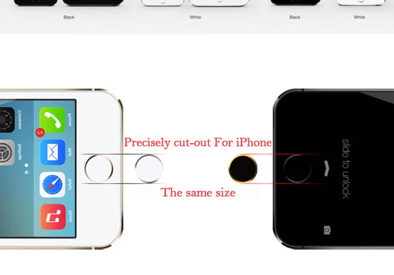 3786024543_1814404036_02