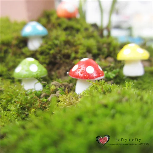 Colorful Mushrooms Pvc Mini Figures 6pcs - Front 1
