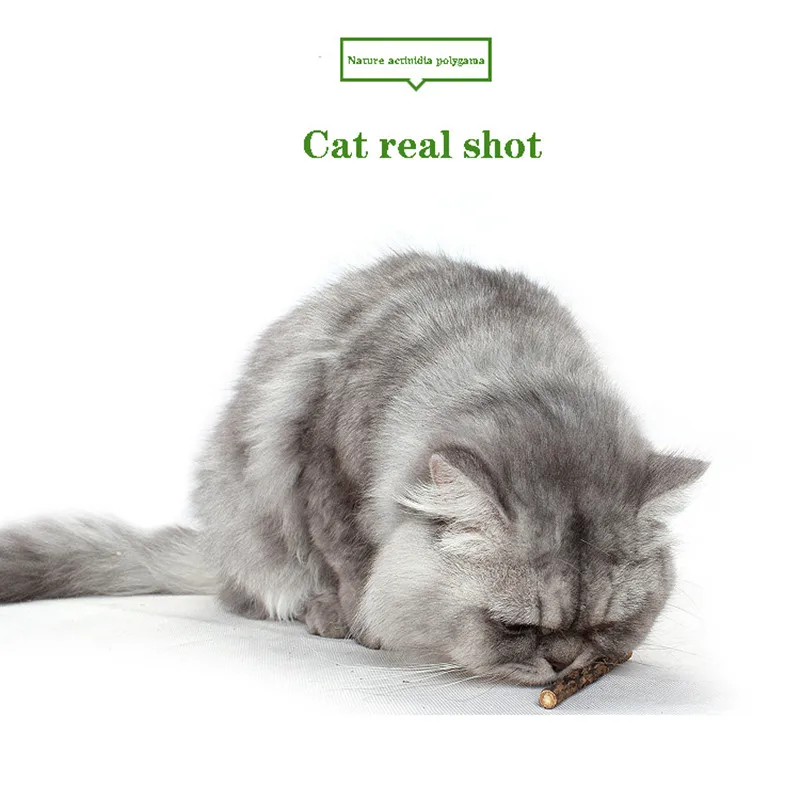 

Actinidia Polygama Wooden Scorpio Funny Cat Magic Plants Stick Molar Clean Teeth Cat Mint Cat Snacks Attractive To Cats