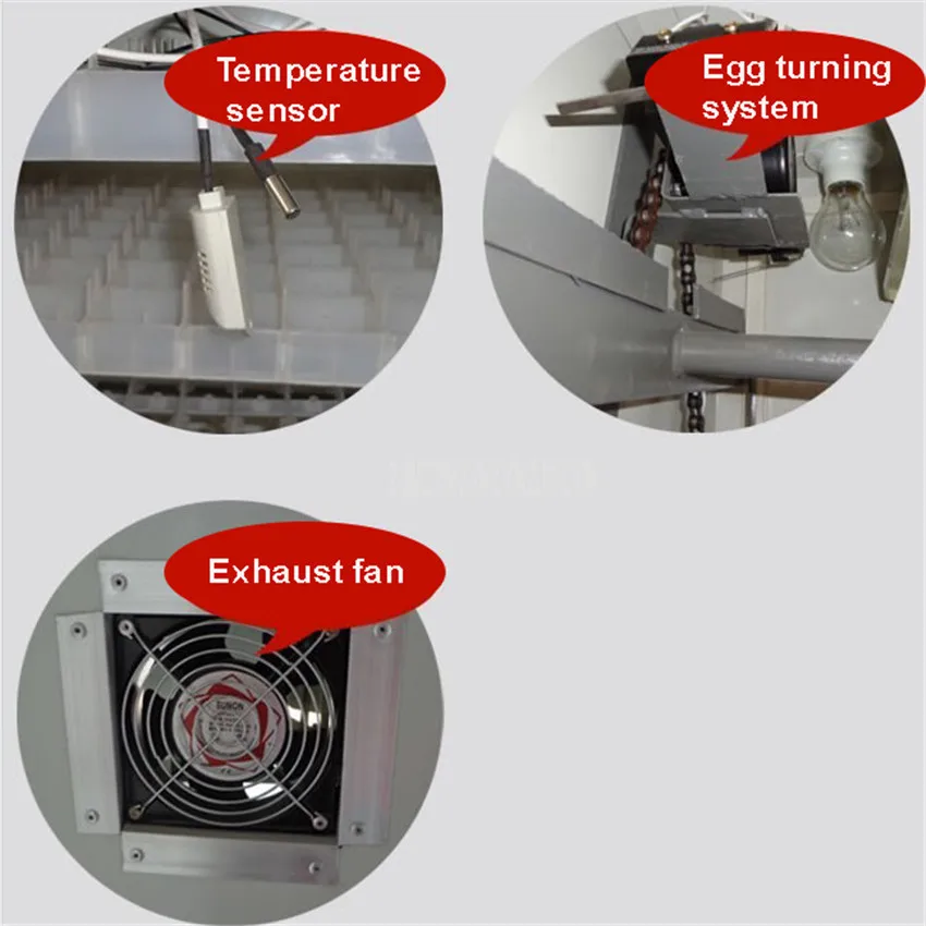 Коммерческий автоматический цифровой инкубатор с емкостью 3520 шт. для яиц, инкубатор с большой емкостью для курицы, утки, гуся, птицы, яйца