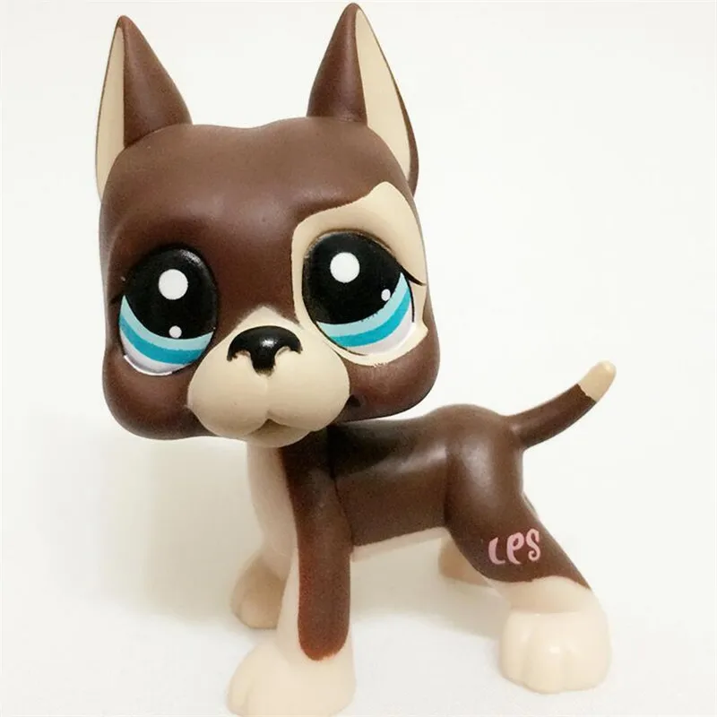 Littlest Pet Shop LPS Toy Chocolate Brown Cream Great Dane with Star Eyes #817 