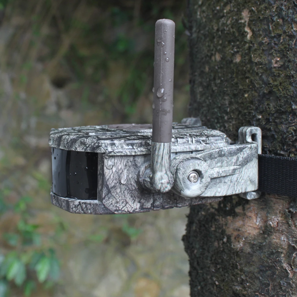 SY-007 PLUS(5)