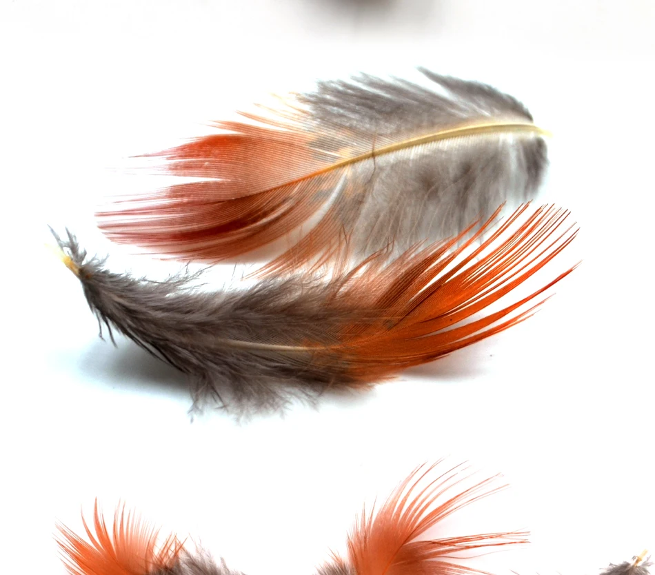 a_02