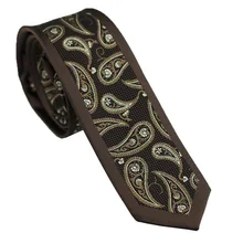 Коачелла Галстуки коричневый с хаки Пейсли Окаймленный дизайн шейный платок из микрофибры тощий галстук 6 см