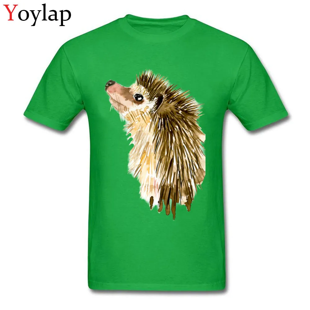 Adult T Shirt Crazy Normal Short Sleeve Summer Fall Tops T Shirt Plain Round Collar 100% Cotton Tee-Shirt Watercolor Little Hedgehog green