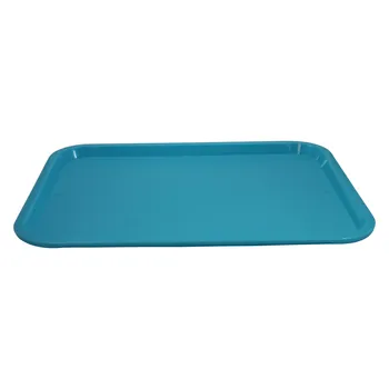 

Plastic Tray 41x31x2 cm