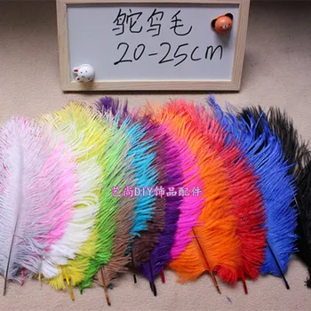 

Wholesale Hard rod natural 10pcs 8-10 inch 20-25cm multicolor for choose ostrich plumage