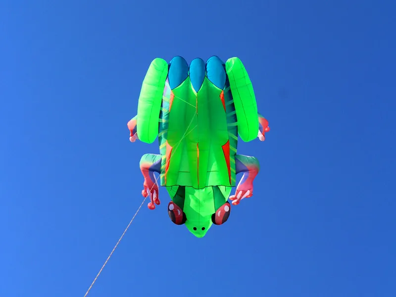 Высокое качество 3D глаза Лягушка Мягкий воздушный змей с ручкой линии открытый игрушки weifang кайт завод осьминог Кайтсерфинг