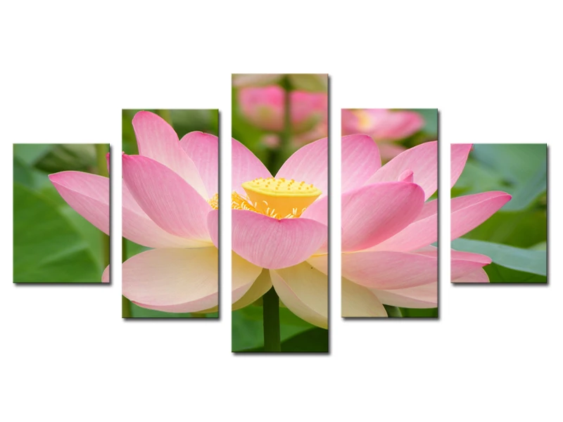 Lotus Flower Wall Art aliexpress : buy unframed 5 panels pink lotus flowers print Lotus Flower Wall Art aliexpress : buy unframed 5 panels pink lotus flowers print