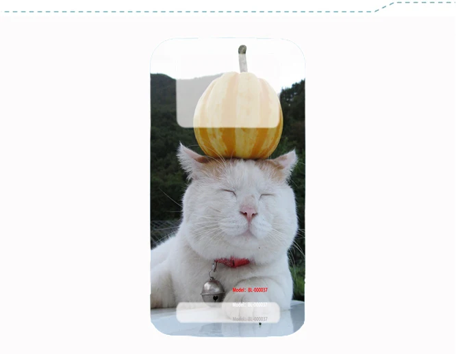 Phone case-00001456