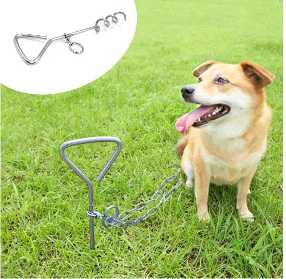 Ремень для собак в машину. Ремни безопасности для собак в машине. Крепление gopro на собаку. Крепление экшн камеры на собаку. Ремни безопасности для собак в машине.