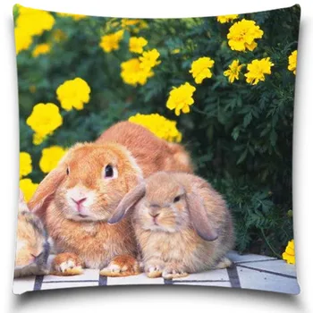 

Lovely Rabbit New Qualified Cotton Polyester Square Decor Throw Pillow Case Cushion Cover Colorful Imagine 5 size 9 style