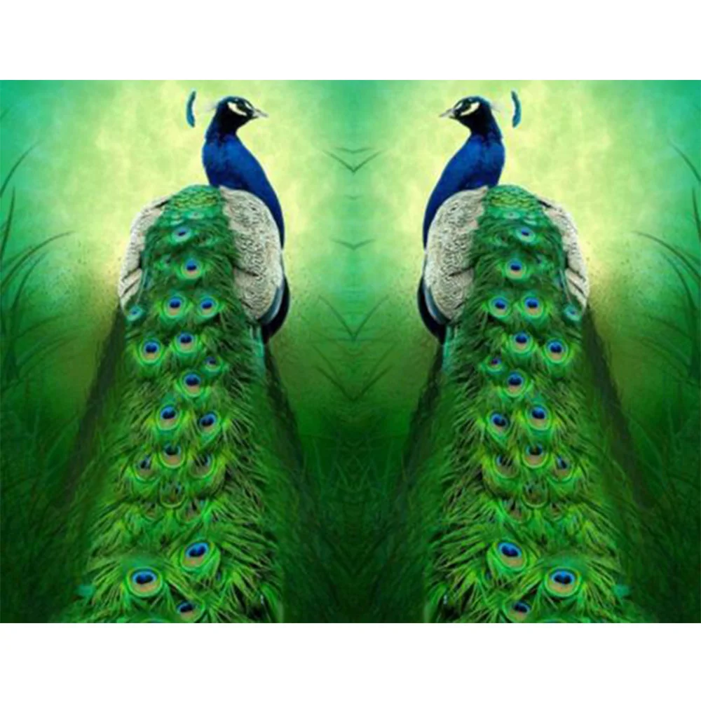 5D diamond embroidery two peacocks diamond sets full decorative diy.