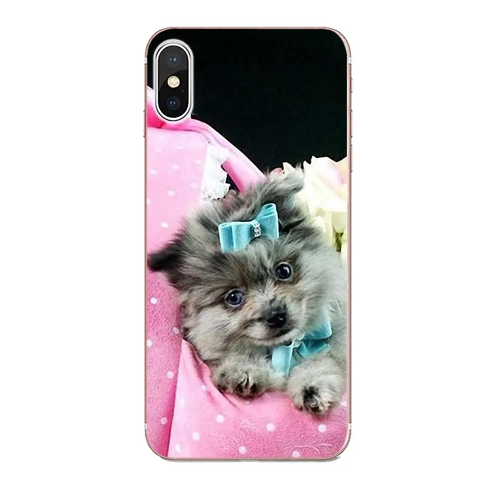 Pomeranian Dogs симпатичный чехол для Apple iPhone X XS Max XR 4 4S 5 5C 5S SE 6 6S 7 8 Plus Мягкий Силиконовый
