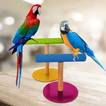 

Parrot Bird Toy Office Wooden Frosted Acrylic Stand Safe And Non-toxic Bite And Chew Parrot Toys