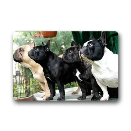 

CHARMHOME Fashion Living Room Doormat French Bulldog Pack Doormat Custom Door Mat Home Decor Carpet Fashion Rug