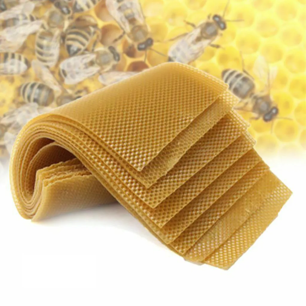 10 PCS Beekeeping Honeycomb Wax Frames Foundation Honey Hive Equipment Tool