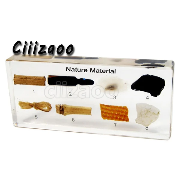 

Natural Material Specimen paperweight Taxidermy Collection embedded In Clear Lucite Block Embedding Specimen