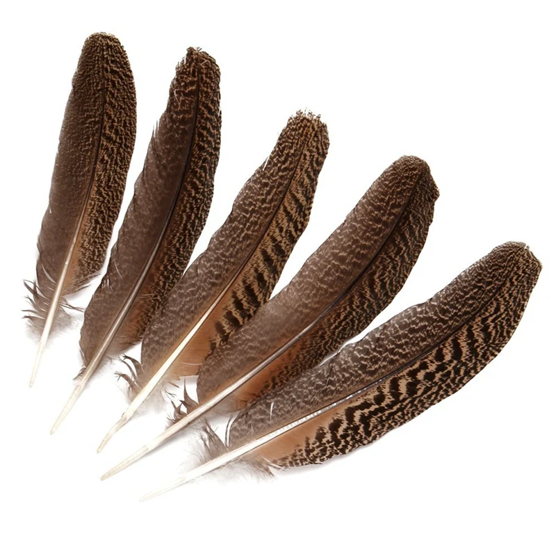 

Wholesale 10Pcs Natural Real Owl Eagle Feathers 25-40CM 10-16" Pheasant Feather for Crafts Jewelry Making Carnival Plumes Plumas