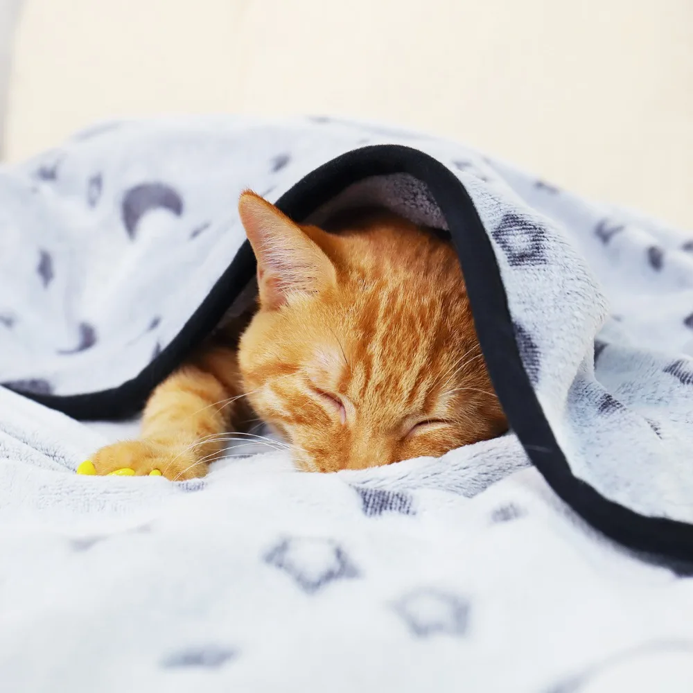 975c8dad-80ac-4dc0-a22b-64f5be34a543