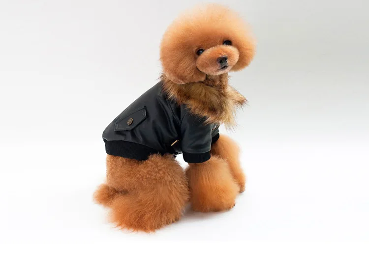 P10_Fashion_Pet_Dog_leather_Jacket_Clothes_Winter_Warm_fur_collar_Teddy_Small_dog_Coat_Chihuahua_Clothing_ (7)