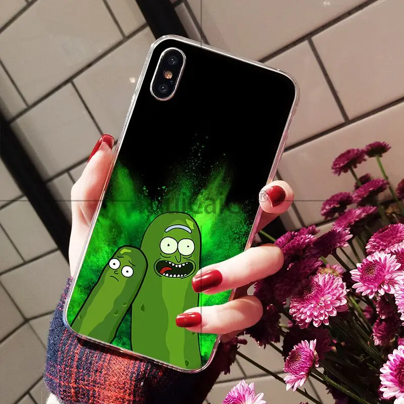 Rick and Morty pickle rick