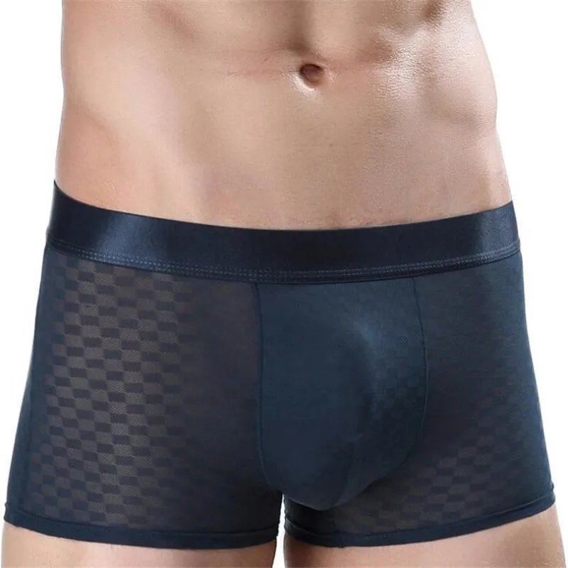 

Sexy Lingerie Transparent Underwear Mens Plaid Boxers Comfortable Breathable Net Yarn Male Boxer Shorts Panties Cueca Masculina