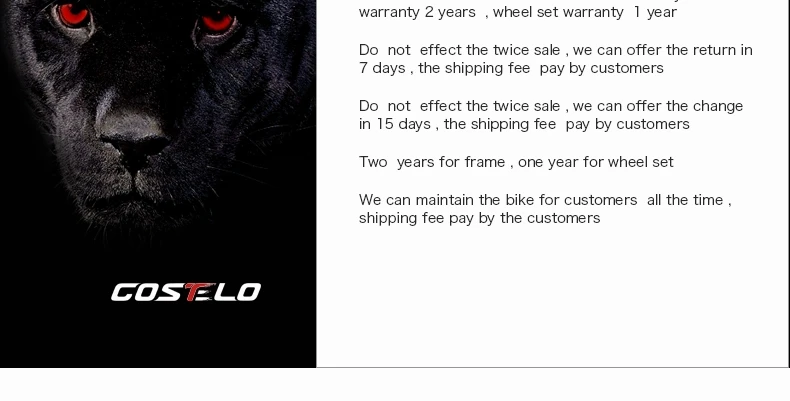 Discount HOT SALE  full carbon costelo lucca road bicycle carbon bike DIY complete bicycle completo bicicletta bicicleta completa 36