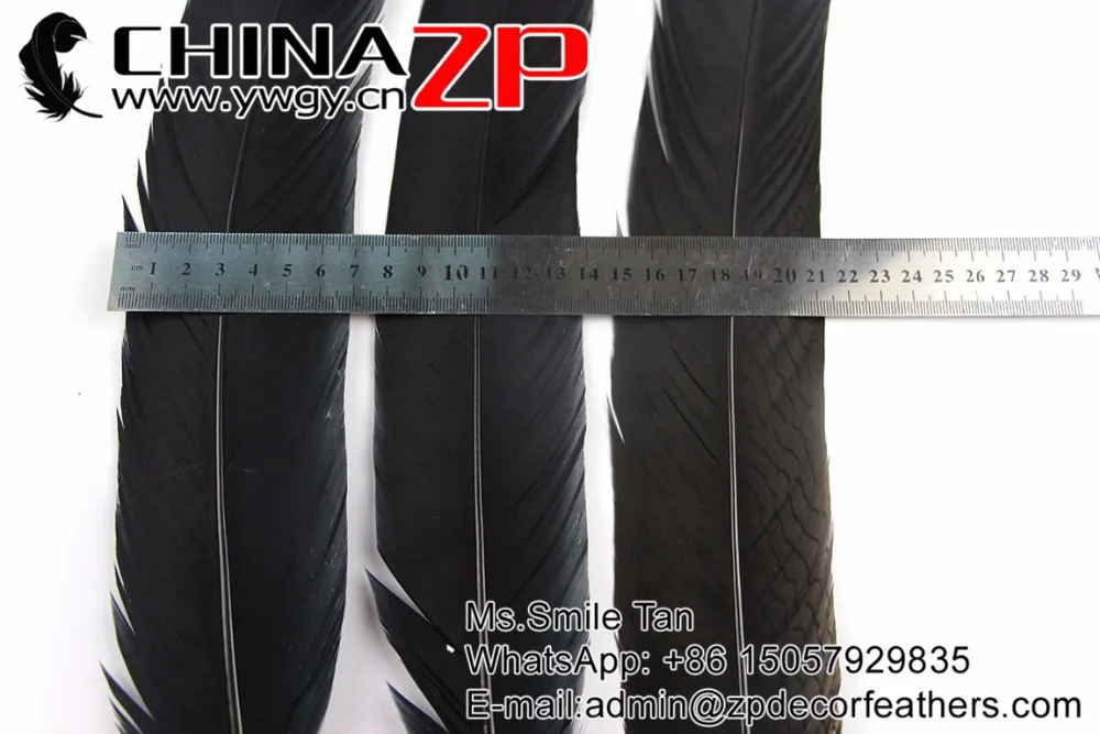 65-70cm silver pheasant feathers with grey tip (8)