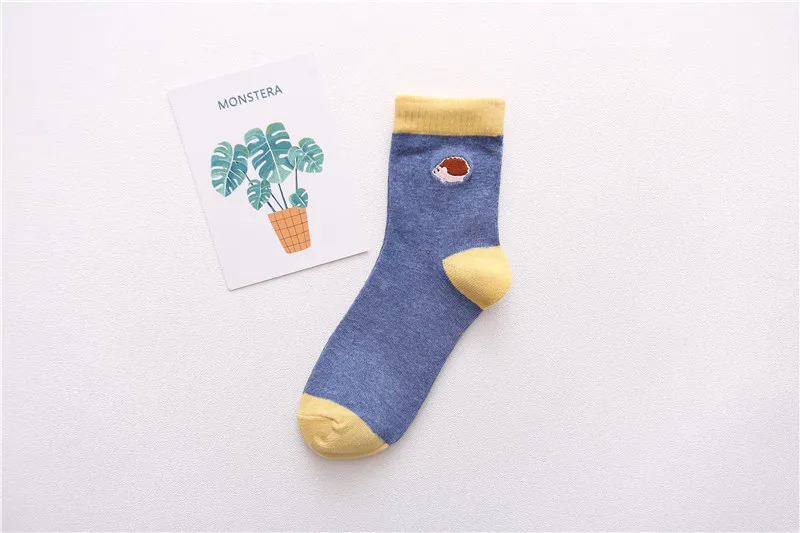 [EIOISAPRA] Смешные носки Харадзюку мультфильм вышивка с рисунком ежа милые Новые короткие хлопковые короткие носки для женщин