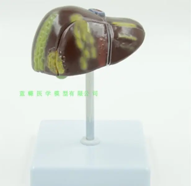 QQ20180622185408