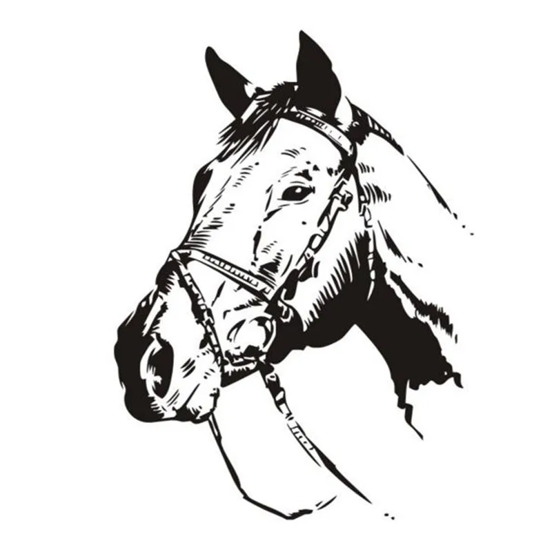 Лошади черно белые рисунки