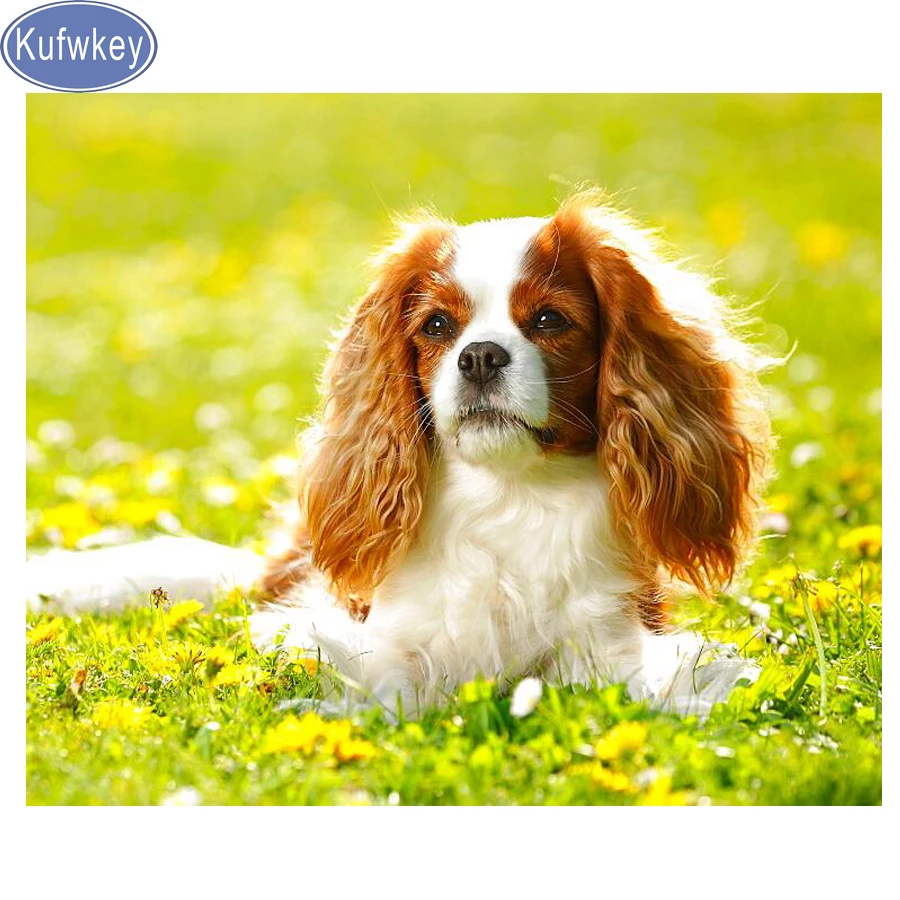 HTB1O23tajzuK1RjSsppq6xz0XXaL