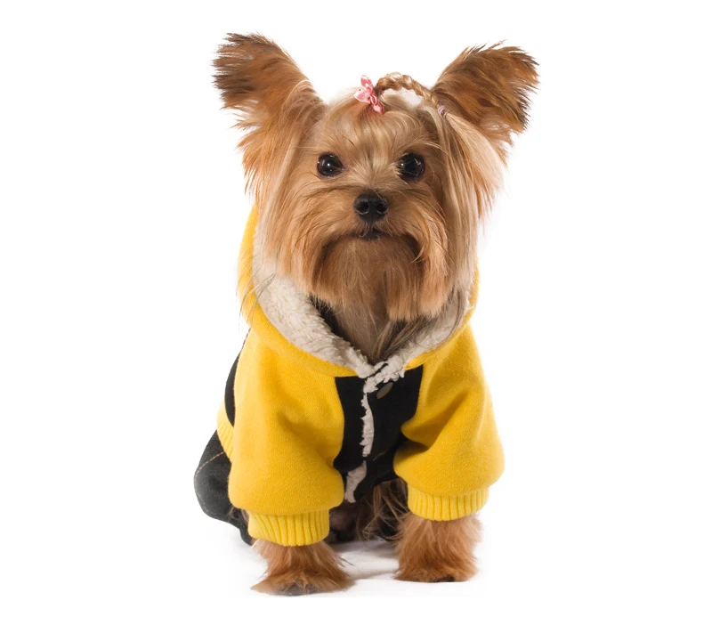 17 pets cloth 