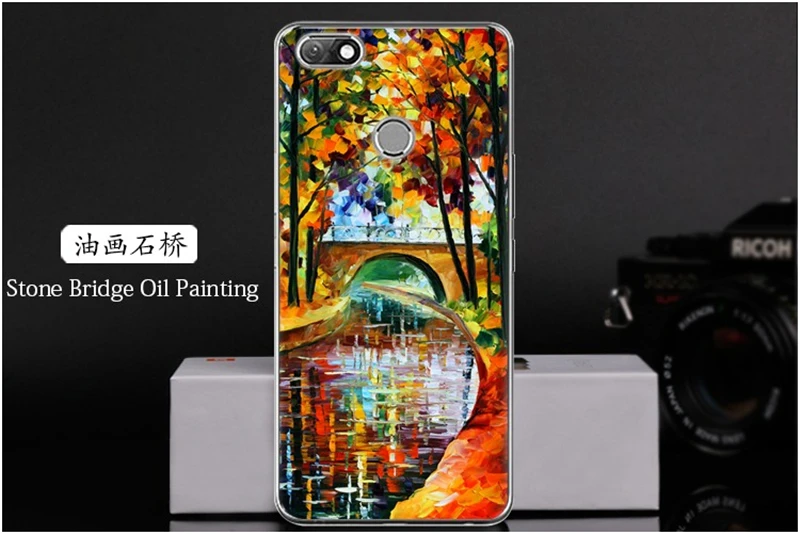 Phone Case For Infinix Note 5 X604 (24)
