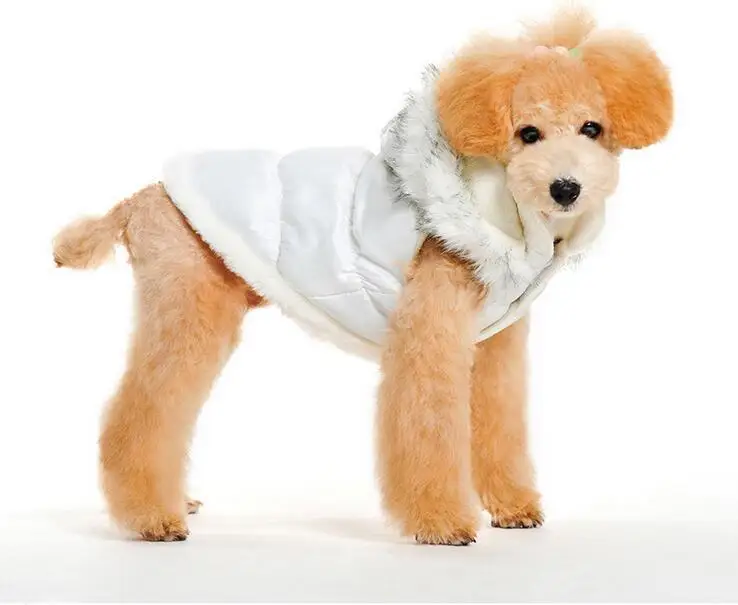 Стиль pet куртка в стиле милых собачек, зимняя теплая куртка для собак, Одежда для питомцев собак пуховик для домашних животных с капюшоном толстовки с рисунком собаки со съемным капюшоном